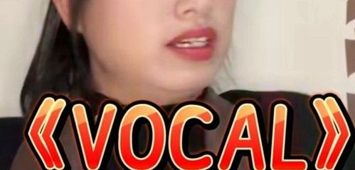 解析Vocal梗的含义 1