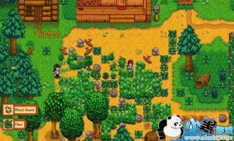 星露谷物语：求婚攻略大揭秘 4