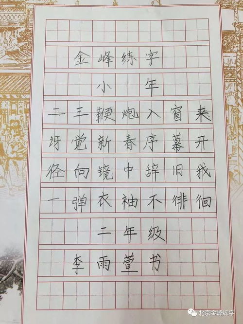 掌握鋼筆書法精髓，輕松練就一手好字！ 1