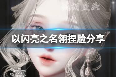 《以闪亮之名》雀捏脸数据ID大全 1