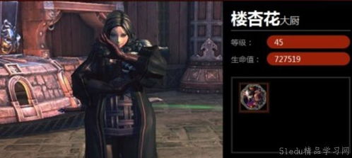 《剑灵2》:深度解析魅力角色,一睹为快! 2