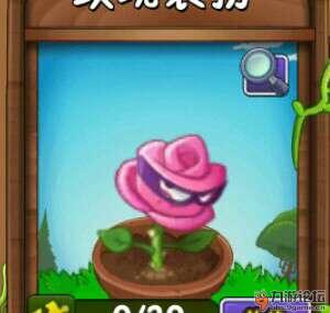 龙舌兰在《植物大战僵尸2》中的非凡表现,你了解吗? 1