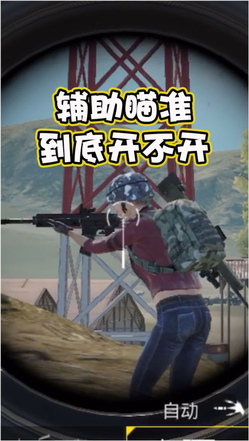 和平精英:辅助瞄准开关大揭秘! 2
