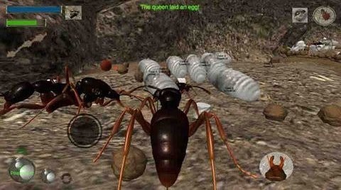 蚂蚁求生模拟器 1