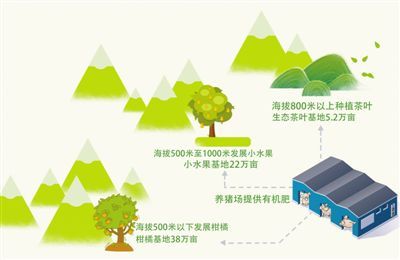 《山海北荒卷》:揭秘各流派独特玩法,畅游奇幻世界 1