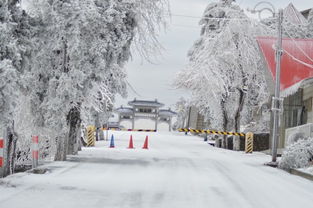 《〈脑洞非常大〉:冰天雪地关卡高效通关秘籍》 1