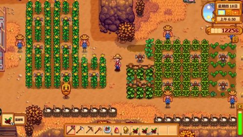 《星露谷物语》中如何获得上古种子? 4