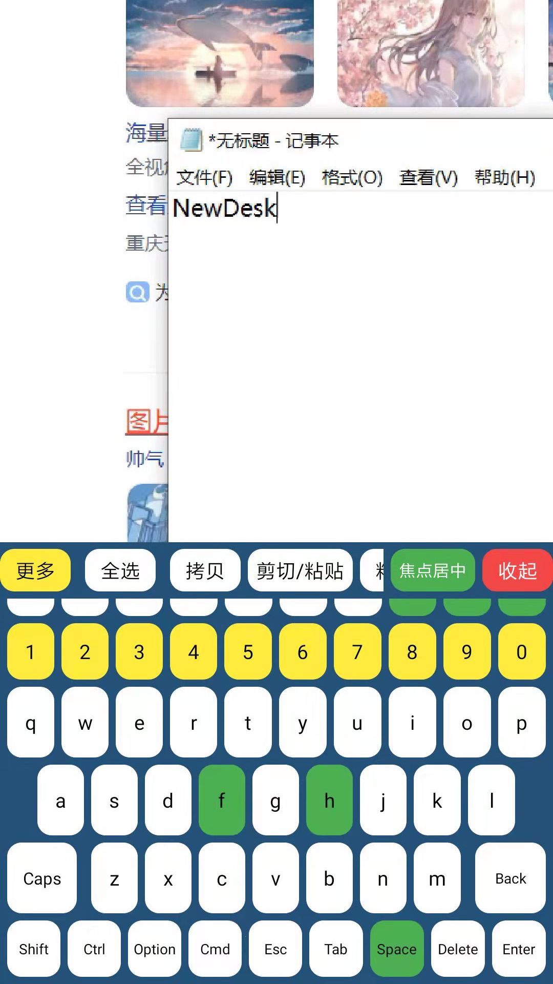 NewDesk远程控制 截图2