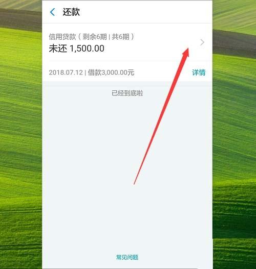 支付宝借呗的利息怎么查看? 3