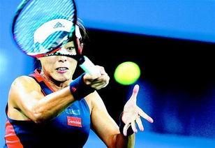 《纳萨力克之王》中娜贝卡牌详细介绍是什么? 4