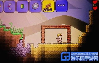 泰拉瑞亚初期发展策略与路线指南 1