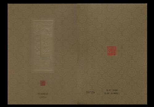 《新月同行》中的折镜是什么？ 1