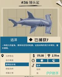 揭秘《渔帆暗涌手游》：快速找到四条强壮大鱼的精准位置 4