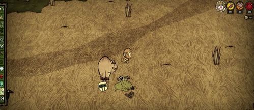 饥荒游戏：超实用技巧，助你快速回复精神值！ 2