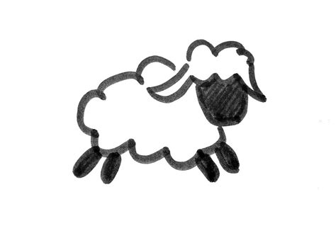 怎样简单地画出小羊的简笔画? 2