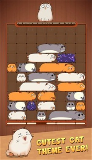 猫咪滑块游戏 截图2
