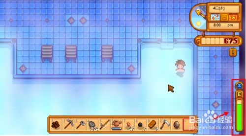 如何在《星露谷物语》中携妻子共赴温泉之旅 3