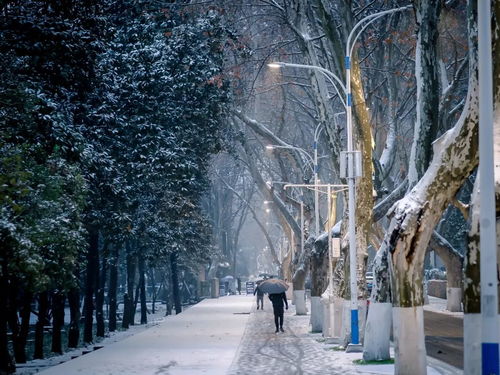 《〈脑洞非常大〉:冰天雪地关卡高效通关秘籍》 4