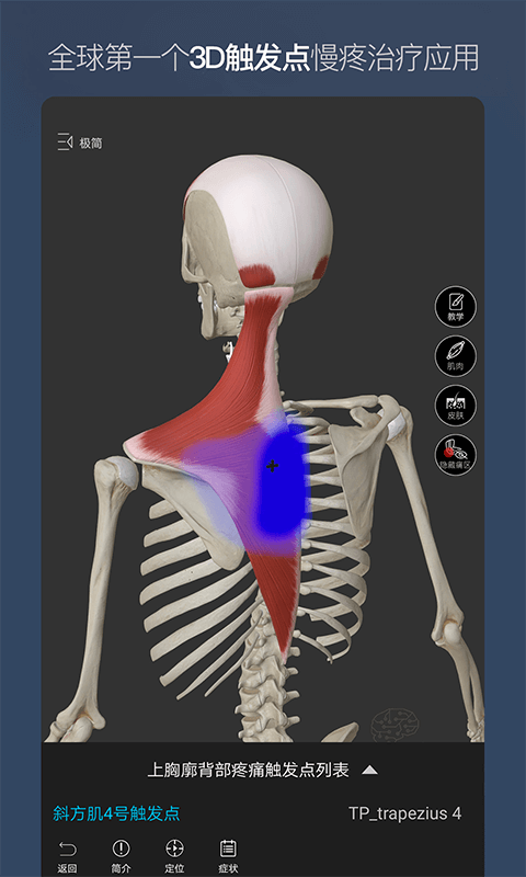 维萨里3D解剖 截图3