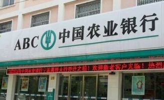 中国农业银行营业时间是什么时候？ 1