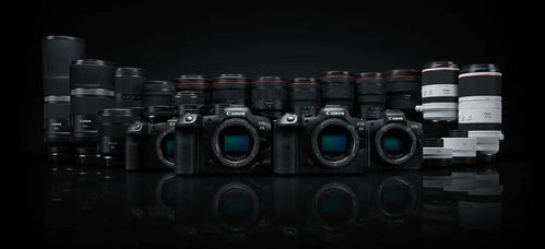 《重返未来：1999》RF-SP-1关卡速通秘籍：轻松清理赛场！ 4