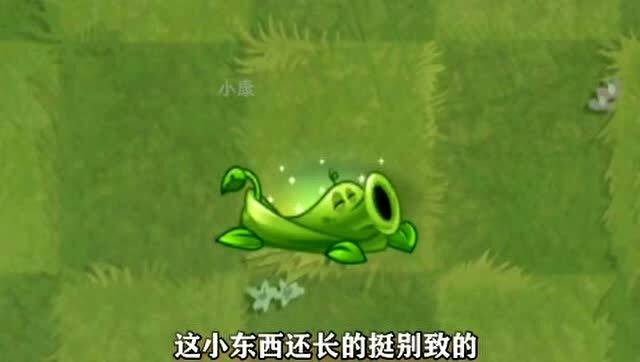 植物大战僵尸2中豌豆藤蔓怎么样?豌豆藤蔓技能详解 1