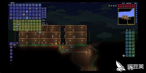 泰拉瑞亚:蜂刺获取攻略及其实用价值详解 5