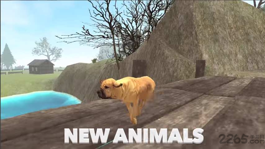 终极狗狗模拟器游戏 1