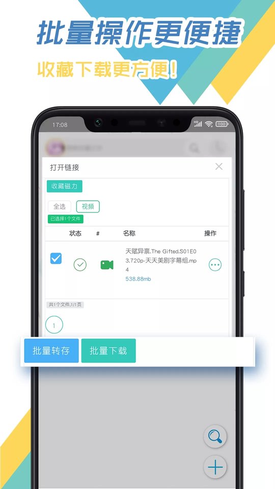 飞鸟下载器app 截图2