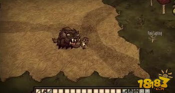 饥荒游戏中如何有效击败座狼 2