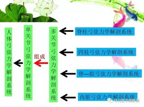 《人体工厂》爱的力学攻略怎么制定? 1