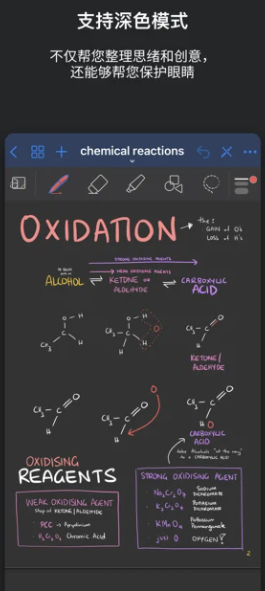 GoodNotes5中文版 截图2