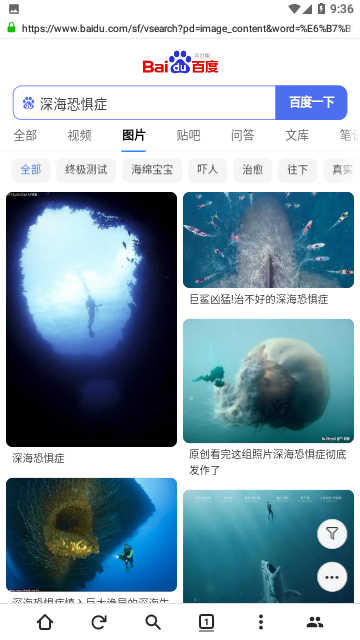 金桔社交浏览器app 截图3