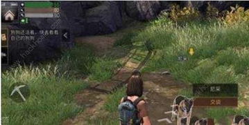 《明日之后》希望谷副本通关全攻略 2