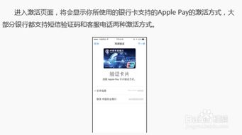 轻松指南：如何高效使用Apple Pay 1