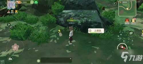 《小森生活》中获取火龙果的方法指南 1