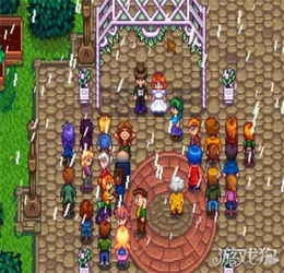 《星露谷物语》:全面解析结婚必备条件 1