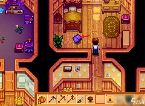 《星露谷物语》中镇长短裤在哪里可以找到？ 4