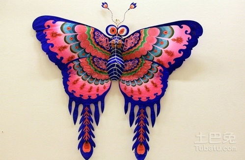 轻松学会：制作风筝的实用指南 1