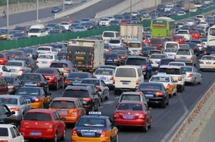 《你能在《文字大师》高速堵车关卡中快速找出十只动物吗？通关攻略大揭秘！》 3