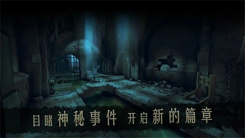 达芬奇密室2汉化免费版 截图4