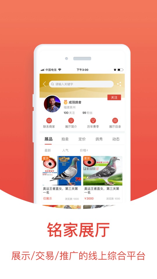 查鸽网 1