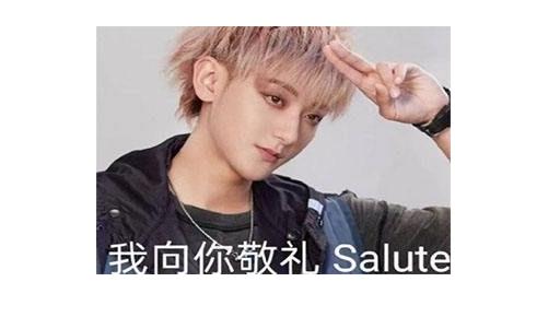 我向你敬礼salute什么梗_我向你敬礼salute介绍