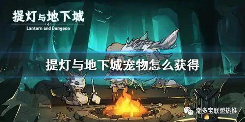 《提灯与地下城》中魔法罐的详情介绍是什么？ 1