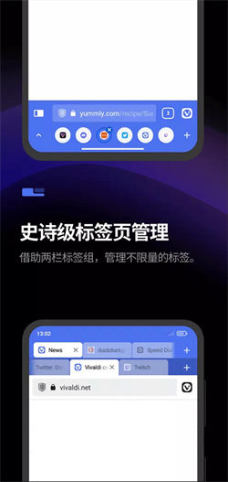 vivaldi浏览器官方版 1