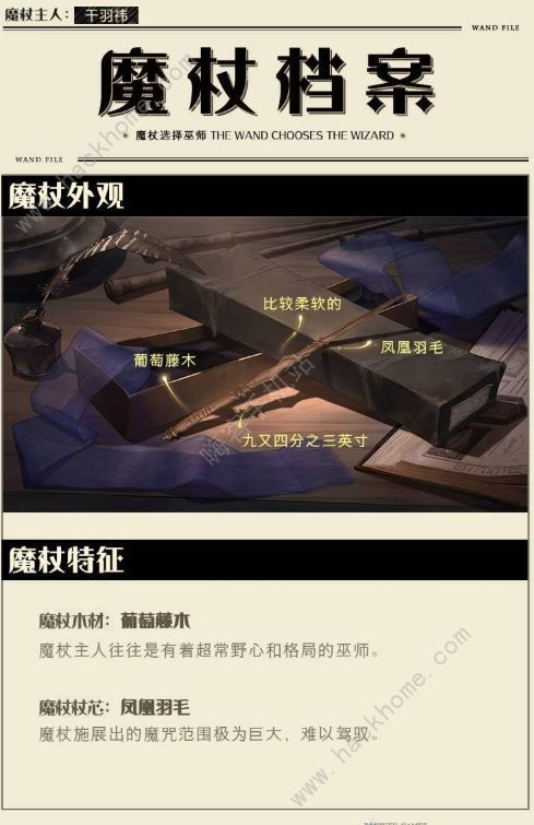 《5月29日获取<哈利波特：魔法觉醒>测试资格的途径》 3