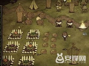 优化饥荒游戏中巨大化植物种植技巧 1