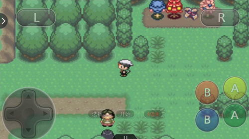 口袋妖怪中如何获得一字斩技能? 3