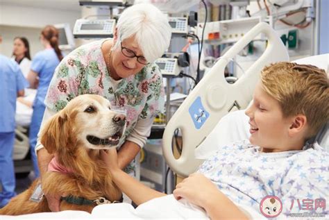 揭秘：动物辅助疗愈师，他们主要疗愈的是哪些人？ 1