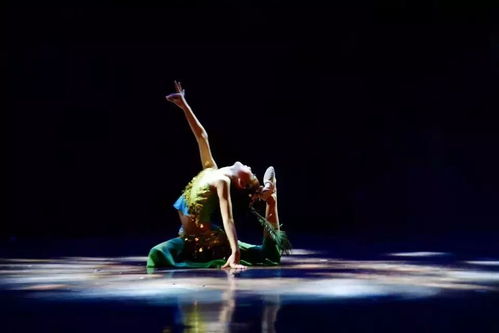 哪种职业利用舞蹈和动作来治愈人心? 1